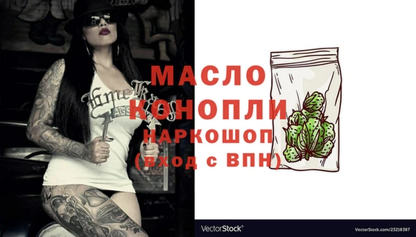дмт Абаза